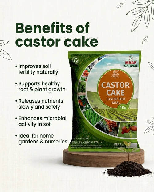 Castor Cake organic fertilizer - Msaf Garden