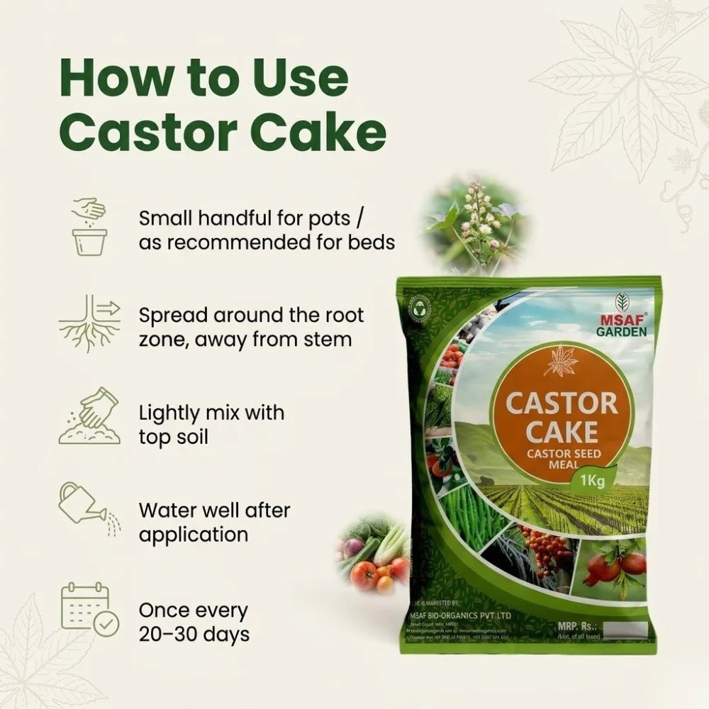 Castor Cake organic fertilizer - Msaf Garden