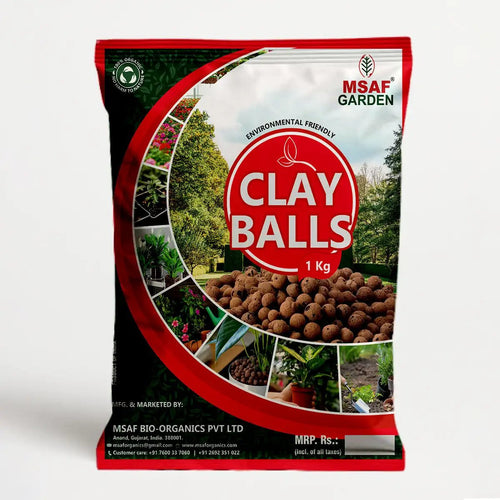CLAY BALL - Msaf Garden