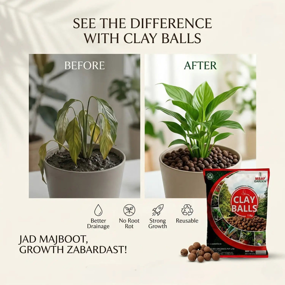 CLAY BALL - Msaf Garden