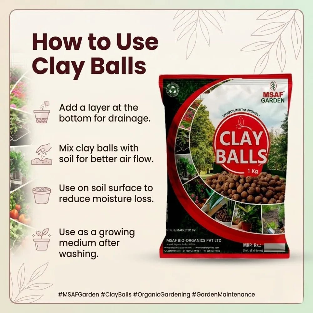 CLAY BALL - Msaf Garden