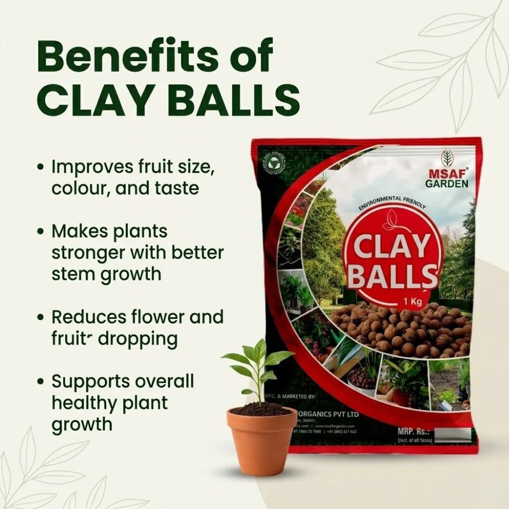 CLAY BALL - Msaf Garden