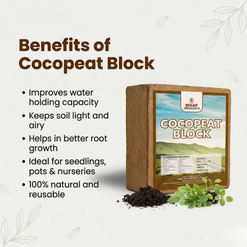 COCO PEAT BLOCK - Msaf Garden