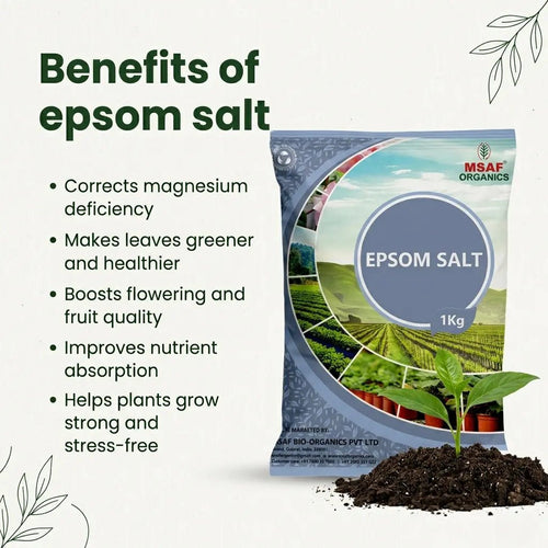 EPSOM SALT - Msaf Garden