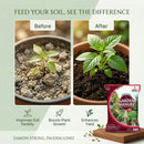 GARDEN MANURE