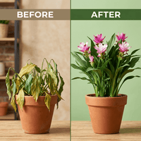 Garden Master – All-Purpose Organic Plant Growth Booster image 5