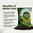 NEEM CAKE