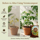 Vermicompost – 100% Organic Fertilizer for Healthy Plant Growth Fertilizer